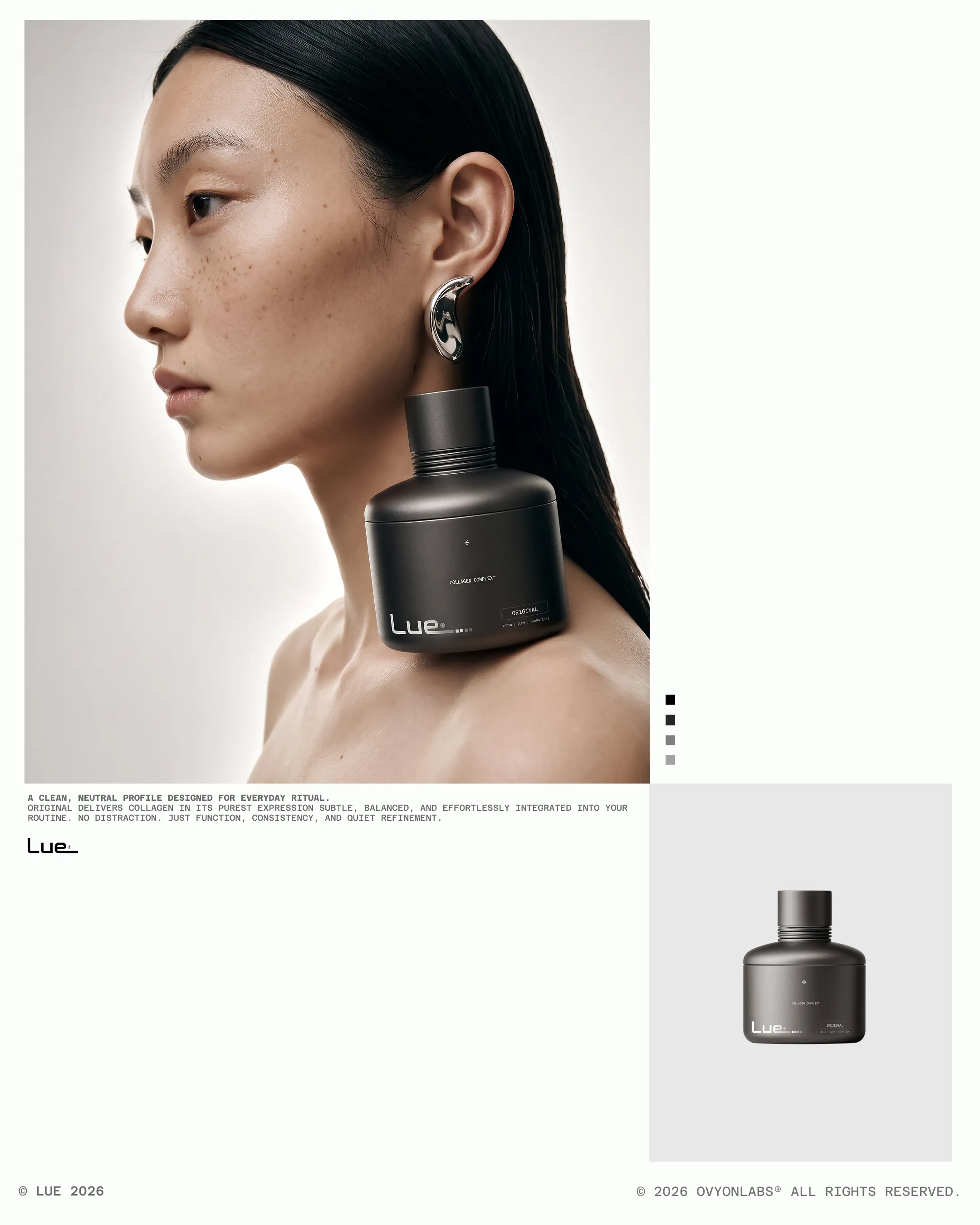 Project image 5